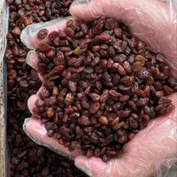 کشمش سایه خشک افتابی شیره انگور شیره خرما|خوردنی و آشامیدنی|تهران, شهرک شریعتی|دیوار