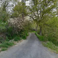باغ سند شش دانگ ملکی