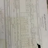 فروش زمین مسکونی۲۰۰متری در شهرک شاهین(بانک استان)|فروش زمین و ملک کلنگی|شاهین‌شهر, شهرک سایت|دیوار