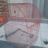 قفس پرنده