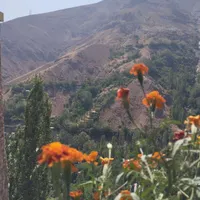 146متر فشم میگون« روما »|فروش آپارتمان|شمشک, |دیوار