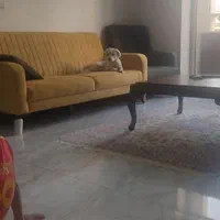 اجاره سویت روزانه