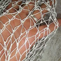 تور ماهیگیری مدل پرتابی|ماهیگیری|ارومیه, |دیوار