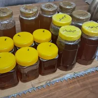 عسل‌های ارگانیک در انواع مختلف|خوردنی و آشامیدنی|شاهین‌شهر, فردوسی|دیوار