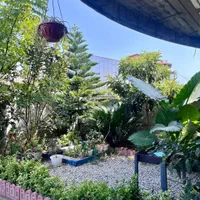 نوساز روزانه و ماهانه نزدیک دریا و بازار سنتی|اجارهٔ کوتاهمدت آپارتمان و سوئیت|رامسر, |دیوار