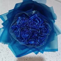عروسک|اسباب‌‌بازی|رشت, نظری|دیوار