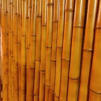 چوب بامبو های صادراتی قطر۵سانت|صنایع دستی و سایر لوازم تزئینی|تهران, هفده شهریور|دیوار