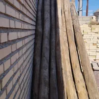 خریدار انواع درخت و چوب ساختمانی|خدمات باغبانی و درختکاری|گنبد کاووس, |دیوار