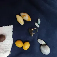 چندتامهره‌وانگشتر