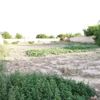 زمین باغ ویلا ۵۰۰مترسند آب برق گاز گل مکان گلستان|فروش زمین و ملک کلنگی|مشهد, وکیل‌آباد|دیوار