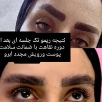 آف آموزش واجرای ریمو تک جلسه ای|خدمات آموزشی|بندر امام خمینی, |دیوار