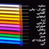 طراحی و ساخت تابلو های نئونی ، نئون فلکسی|ریسه و چراغ تزئینی|زنجان, |دیوار