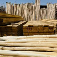 چوب داربندی سپیدار / نصب و اجرای داربند انگور