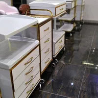ترولی ارایشگاه ترولی پزشکی میز کار|آرایشگاه و سالن‌های زیبایی|شیراز, زند|دیوار