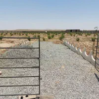 فروش زمین ۱۷۵۰ متری در نبی اکرم(ص)|فروش زمین و ملک کلنگی|تهران, نبی اکرم|دیوار