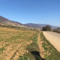 فروش زمین کیاسر بر اصلی دریاچه الندان