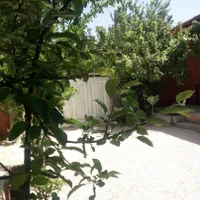 ویلا. باغ. سوئیت در سپیدان سربست|اجارهٔ کوتاه‌مدت ویلا و باغ|شیراز, گویم|دیوار