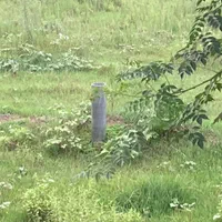 ۹۰۰۰متر زمین باغی/بر آسفالت/ملک ۳ بر/داخل طرح هادی|فروش زمین و ملک کلنگی|رشت, کاکتوس|دیوار