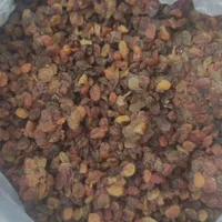 کشمش آبگیری|خوردنی و آشامیدنی|کرج, مهرویلا|دیوار