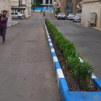 خدمات حرفه‌ای باغبانی و گل‌ در سراسر تهران|خدمات باغبانی و درختکاری|تهران, پاسداران|دیوار