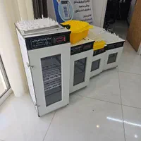 دستگاه جوجه کشی|لوازم جانبی حیوانات|گرگان, |دیوار