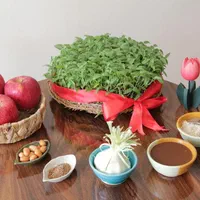 میز خاطره و هفت سین|مبلمان خانگی و میز عسلی|اصفهان, باغ فدک|دیوار