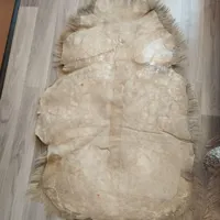 پ وست مرینوس