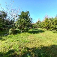 ۳۷۰۰ متر مسکونی با انشعابات قابل تفکیک/۸دقیقه دریا|فروش زمین و ملک کلنگی|لشت نشا, |دیوار