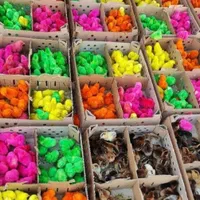 فروش جوجه رنگی محلی اردک ۳روزه