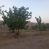 فروش باغ مناسب|فروش خانه و ویلا|اصفهان, احمدآباد|دیوار