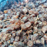 کشمش افتابی درجه۱ با قند بالا|خوردنی و آشامیدنی|شاهین‌شهر, سعدی شمالی|دیوار