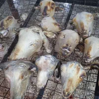 کله پاچه بره کووه بر جگر دمچه چرب روده وغیره