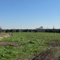 فروش زمین ۲۲۷۰متر باکنتور برق و چاه آب شخصی جویبار|فروش زمین و ملک کلنگی|جویبار, |دیوار