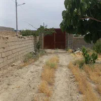 فروش زمین باغ ۱۰۰۰متر عسگریه|فروش زمین و ملک کلنگی|مشهد, عسگریه|دیوار