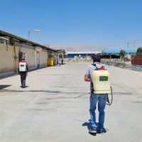 سمپاشی اماکن ، منازل و سم پاشی محیط های صنعتی|خدمات نظافت|شیراز, ملاصدرا|دیوار
