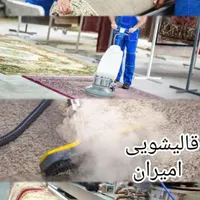 قالیشویی امیران