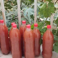 آبغوره تازه وتمیز .آبگیری بادستگاه پیشرفته|خوردنی و آشامیدنی|بروجرد, |دیوار