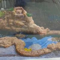 آب نما و آبشار ونوس|خدمات پیشه و مهارت|تهران, سلسبیل جنوبی|دیوار