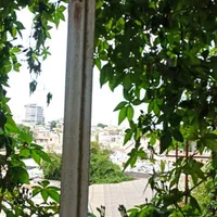 اپارتمان مبله خیابان گمرک مرکزشهر پارک تی وی|اجارهٔ کوتاه‌مدت آپارتمان و سوئیت|بوشهر, |دیوار