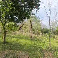 زمینی مسکونی در روستای شالما و روستای گنجار|فروش زمین و ملک کلنگی|احمدسرگوراب, |دیوار