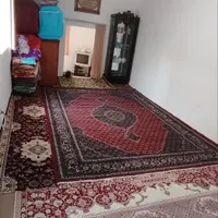 سوییت روزانه
