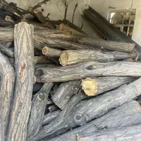 چوب بری هرس درخت|خدمات باغبانی و درختکاری|کرج, ساسانی (قلمستان)|دیوار