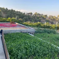 سویت اجاره ای و خانه باغ