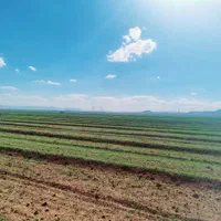 ده هزار مترمربع زمین کشاورزی باغی|فروش دفتر صنعتی، کشاورزی، تجاری|صباشهر, |دیوار