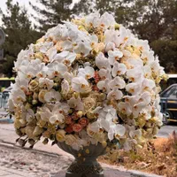 گل های بزرگ تبریک مدیران ، شرکت ها ، اشخاص معروف|گل و گیاه طبیعی|تهران, مرزداران|دیوار
