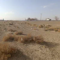 فروش ۴ هکتار زمین کشاورزی برسیان|فروش دفتر صنعتی، کشاورزی، تجاری|اصفهان, بهارستان|دیوار