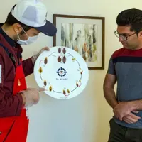 سمپاشی‌تضمینی منزل‌ساس‌سوسک‌کنه‌سم‌پاشی‌موریانه