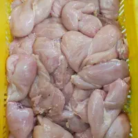 فروش عمده مرغ و قطعات سمین قیمت رقابتی|عمده‌فروشی|تهران, شمیران‌نو|دیوار