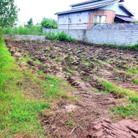 ۳۰۰متر مسکونی کوچه خزر املاک عمارت چاف وچمخاله