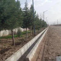 زمین صنعتی ۳۰۰۰ متری|فروش دفتر صنعتی، کشاورزی، تجاری|ابهر, |دیوار